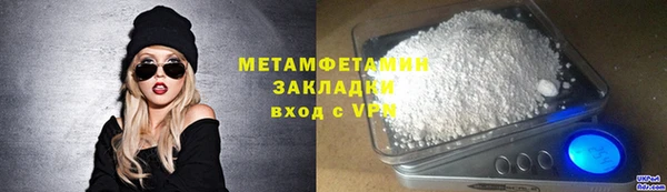 прущие грибы Богданович