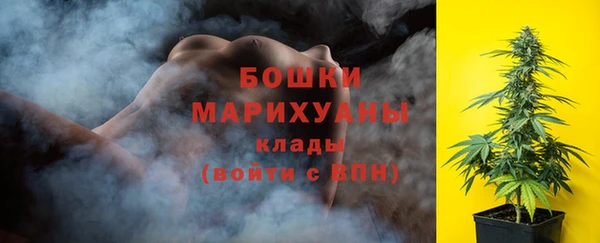 прущие грибы Богданович