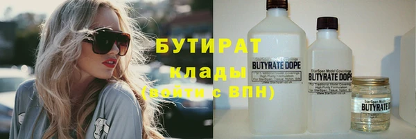 прущие грибы Богданович