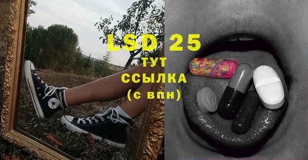 прущие грибы Богданович