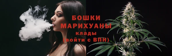 гидропоника Богородск